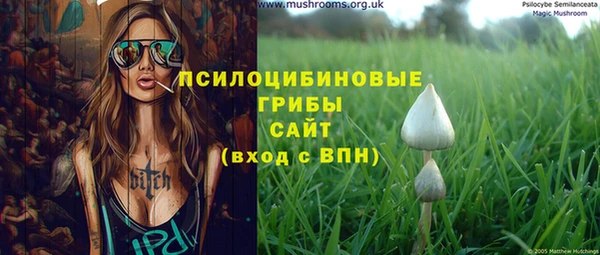 2c-b Богородск