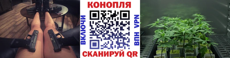 Купить где Десногорск Бошки Шишки план
